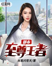 林峰林婉婷目录最新章节