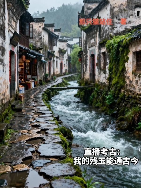 大理寺小饭堂笔趣阁无错版
