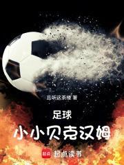 穿越之悍哥儿带着赘婿去逃荒