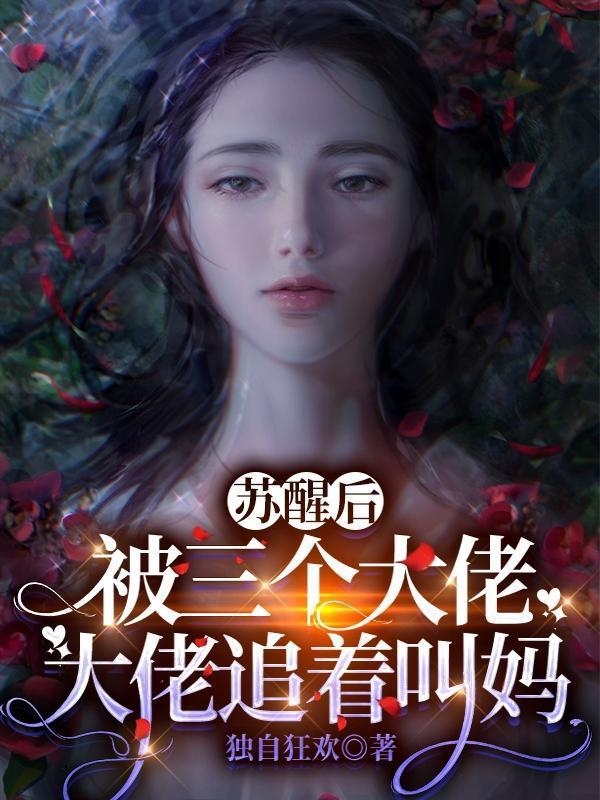 叶宁罗舞苏倾城