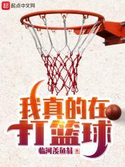 上门龙婿叶辰萧初然主角