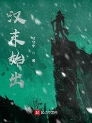 坏了，我的两个系统打起来了